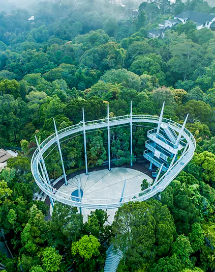 Aerial view of the canopy walk at The Habitat Penang Hill surrounded by lush forest.