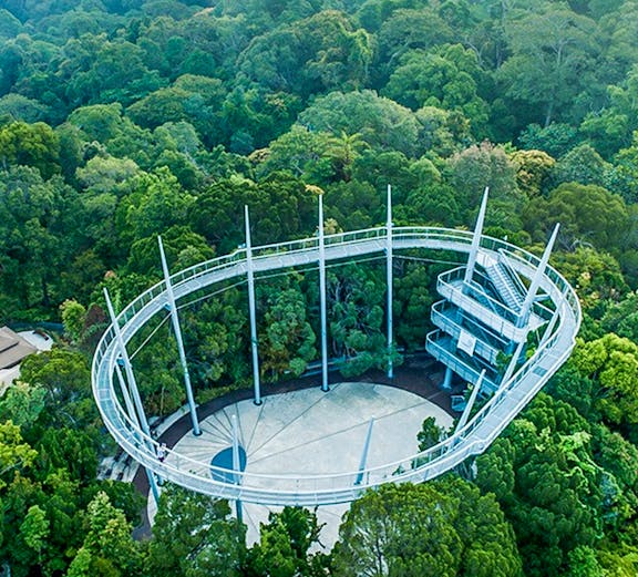 Aerial view of the canopy walk at The Habitat Penang Hill surrounded by lush forest.