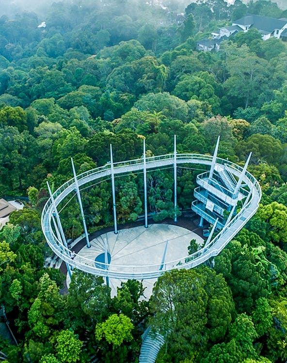 Aerial view of the canopy walk at The Habitat Penang Hill surrounded by lush forest.