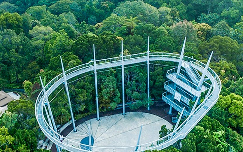 Aerial view of the canopy walk at The Habitat Penang Hill surrounded by lush forest.