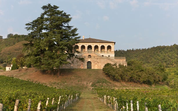 Villa dei Vescovi on a hill with vineyards in the foreground, surrounded by lush greenery.