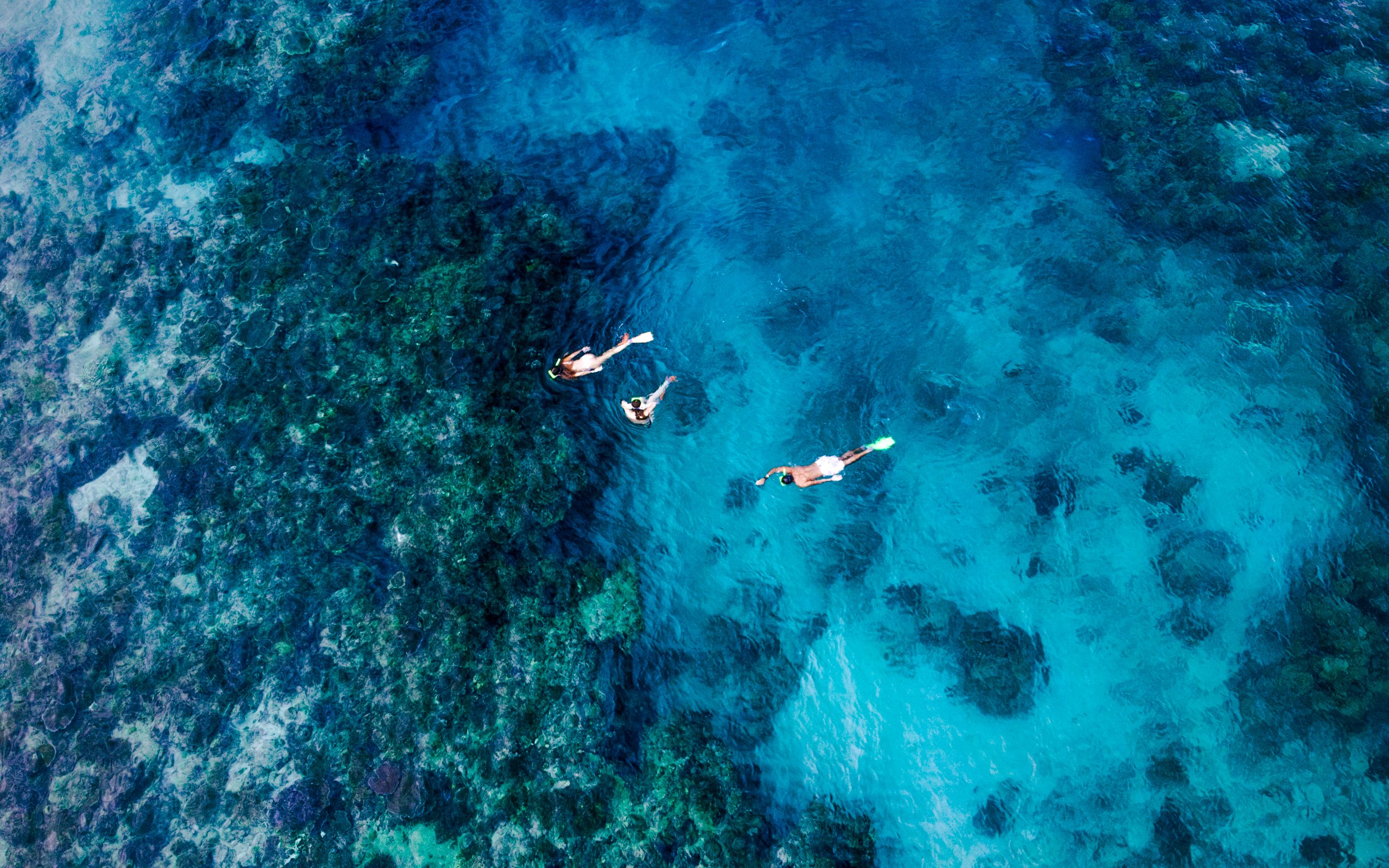 Aerial view of snorkelers exploring coral reefs, South Sea Cats, Fiji.