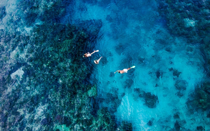 Aerial view of snorkelers exploring coral reefs, South Sea Cats, Fiji.