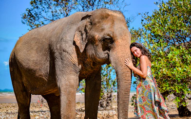 Woman interacting with elephant at Lily Elephant Camp, Phuket.