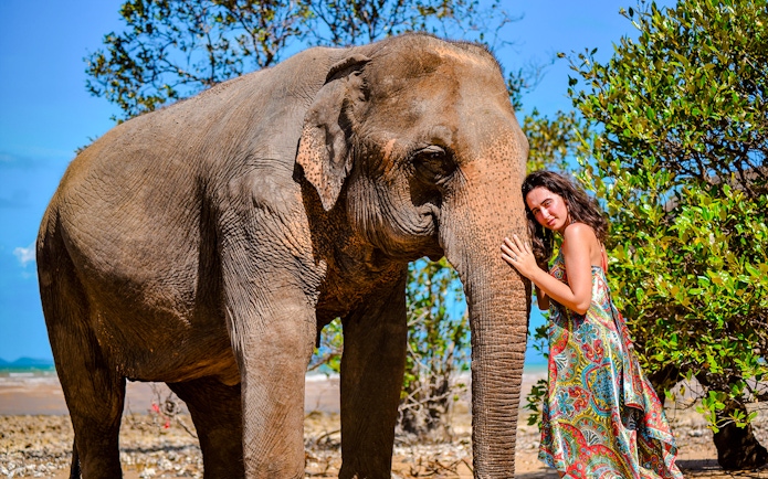 Woman interacting with elephant at Lily Elephant Camp, Phuket.