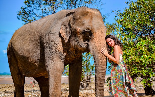 Woman interacting with elephant at Lily Elephant Camp, Phuket.