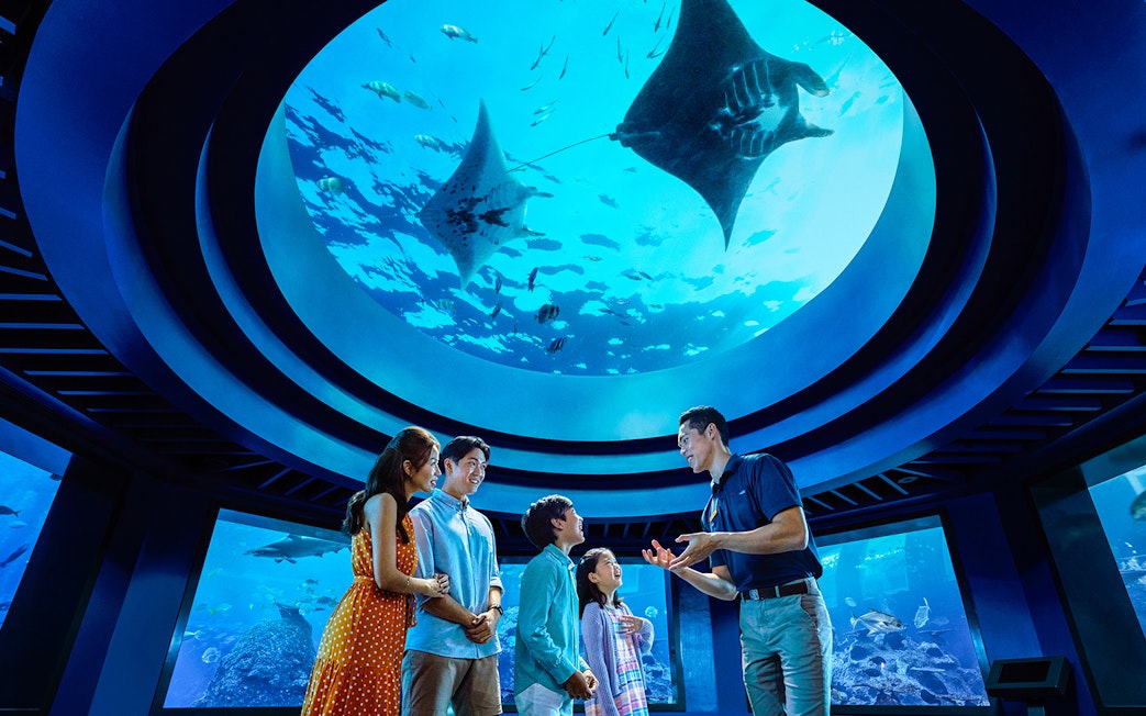 Family observing marine life under dome at Open Ocean Habitat, S.E.A. Aquarium Singapore.