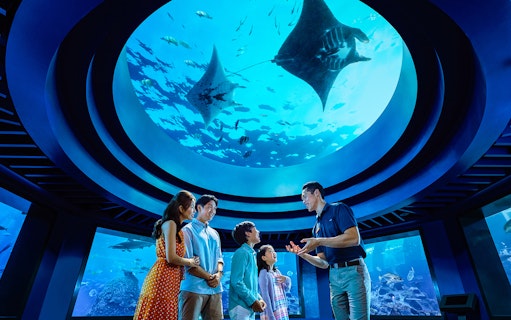Family observing marine life under dome at Open Ocean Habitat, S.E.A. Aquarium Singapore.