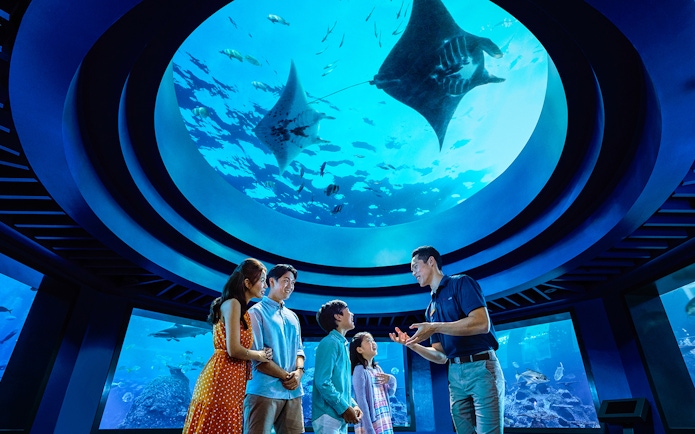 Family observing marine life under dome at Open Ocean Habitat, S.E.A. Aquarium Singapore.
