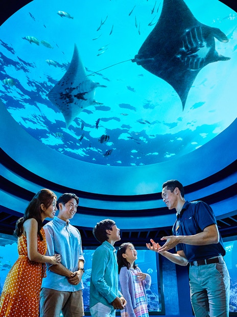 Family observing marine life under dome at Open Ocean Habitat, S.E.A. Aquarium Singapore.