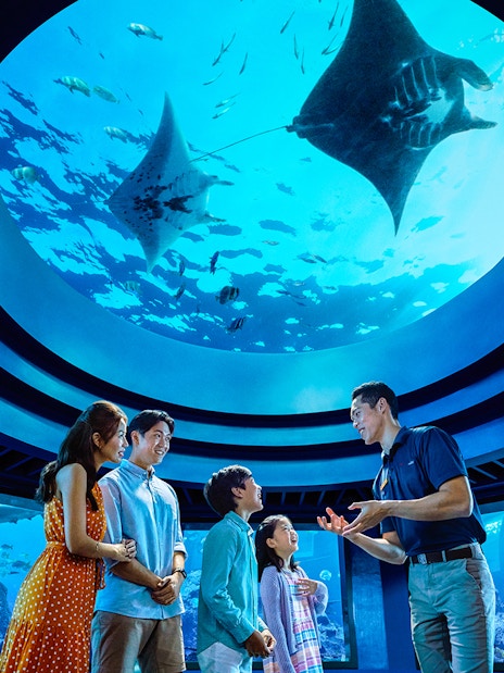 Family observing marine life under dome at Open Ocean Habitat, S.E.A. Aquarium Singapore.