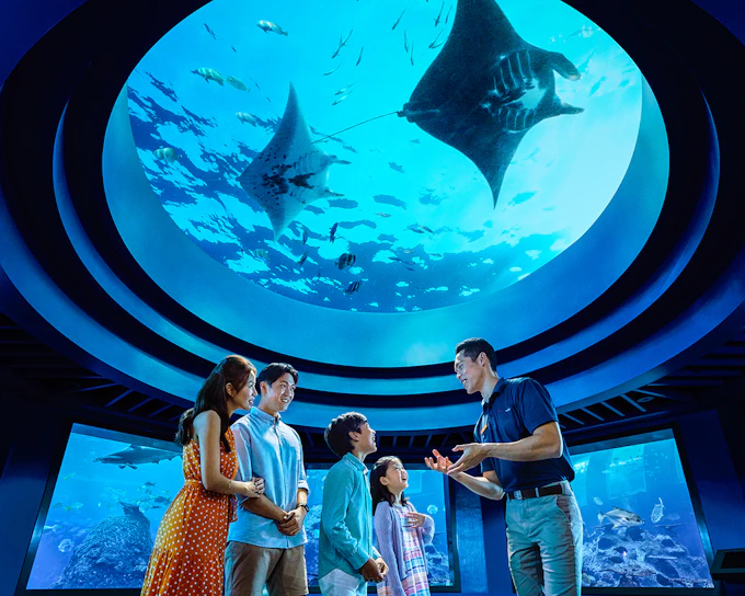 Singapore Oceanarium Tickets