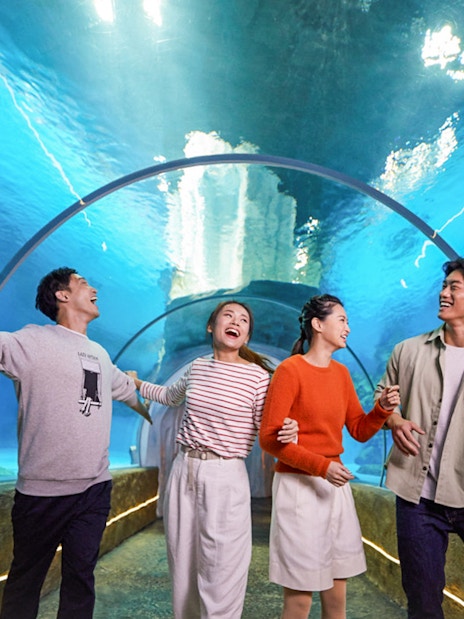 Visitors enjoying the underwater tunnel at Ocean Park with FasTrack tickets.