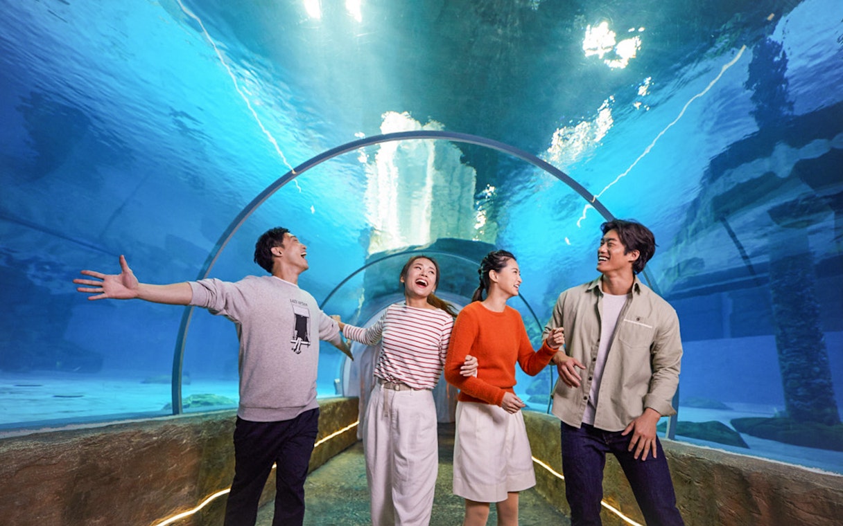 Visitors enjoying the underwater tunnel at Ocean Park with FasTrack tickets.
