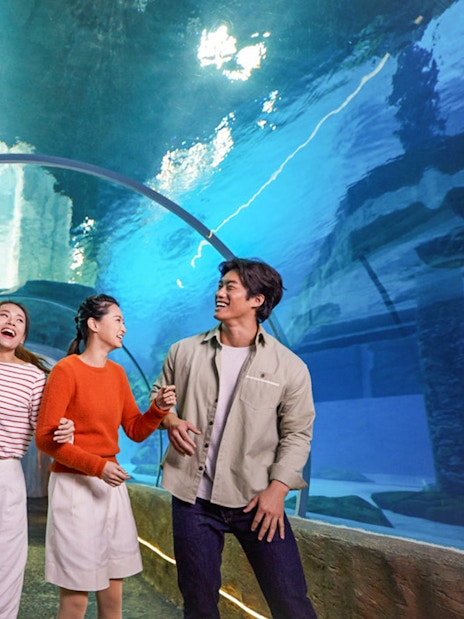 Visitors enjoying the underwater tunnel at Ocean Park with FasTrack tickets.