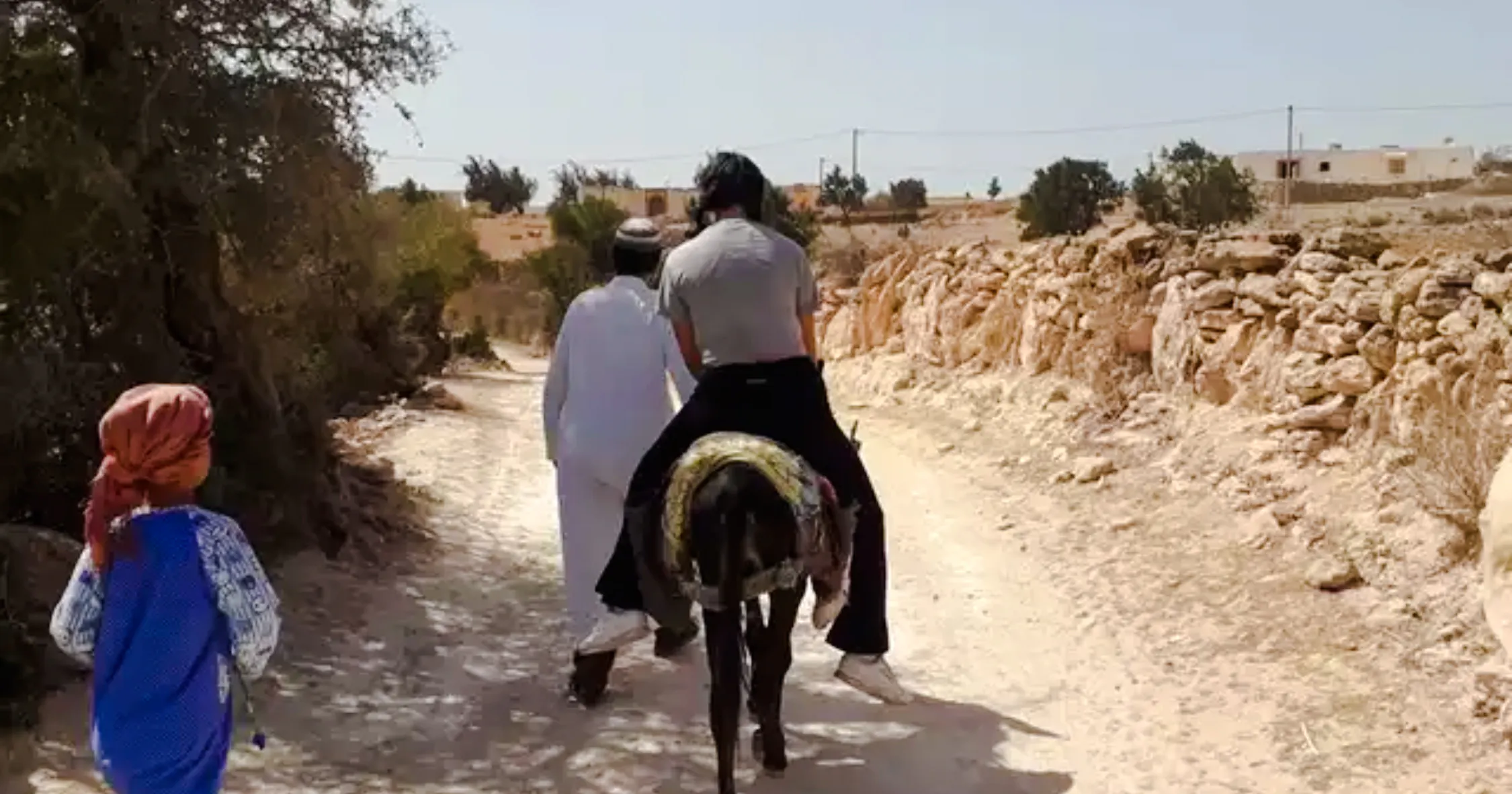 Berber guide leading a donkey ride on a rural path near Essaouira.