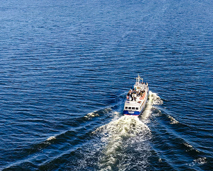 Combo: Archipelago Sightseeing Cruise + Vasa & Vrak Museum Tickets