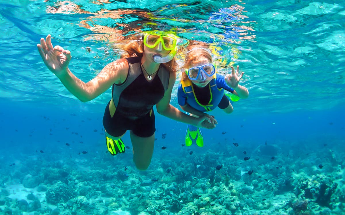 guided half-day snorkelling tour in fujairah with bbq lunch-7 guided half-day snorkelling tour in fujairah with bbq lunch-7