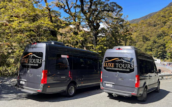 Tour vans parked in lush forest setting, Milford Sound Day Tour from Te Anau.