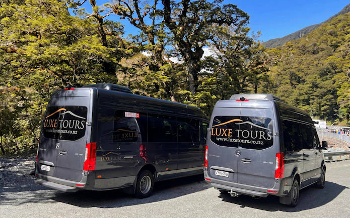 Tour vans parked in lush forest setting, Milford Sound Day Tour from Te Anau.