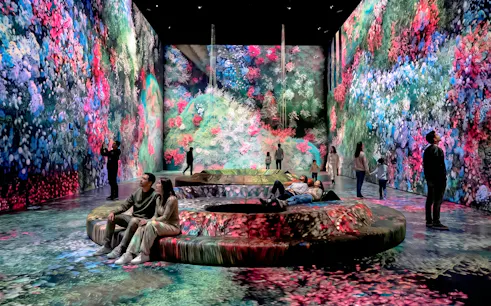 Visitors at Mercer Labs Museum of Art viewing immersive digital floral displays.