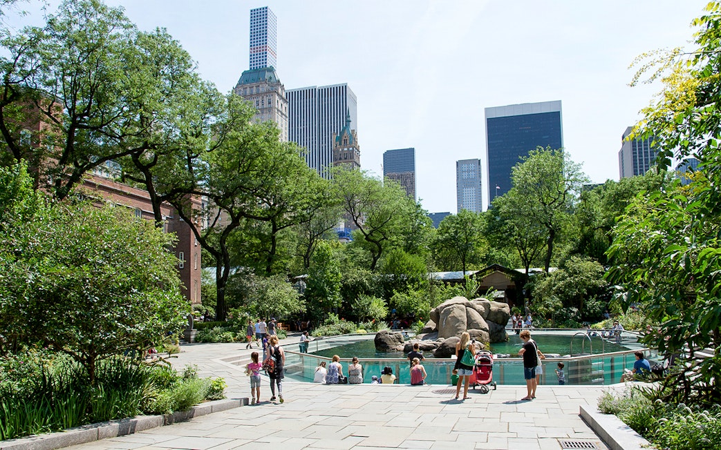 Sea lions swimming in Central Park Zoo exhibit, New York City, with visitors watching.