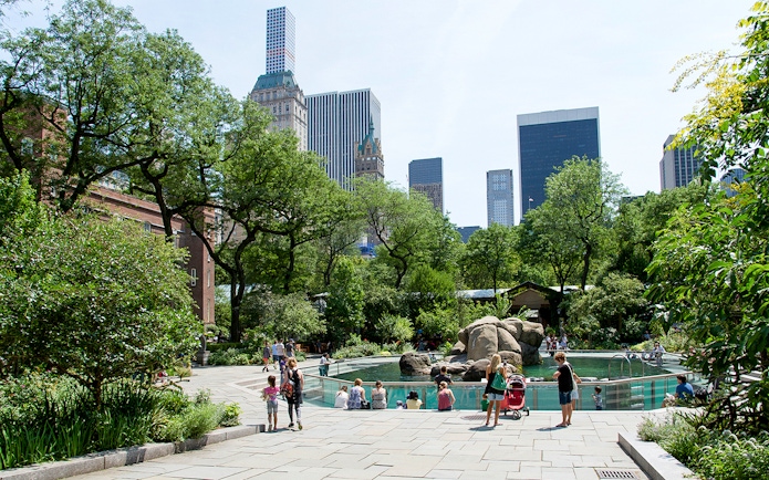 Sea lions swimming in Central Park Zoo exhibit, New York City, with visitors watching.