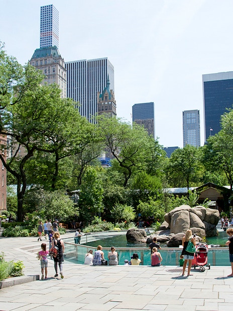 Sea lions swimming in Central Park Zoo exhibit, New York City, with visitors watching.