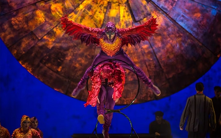 Performer in bird costume leaping through hoop in Luzia show.