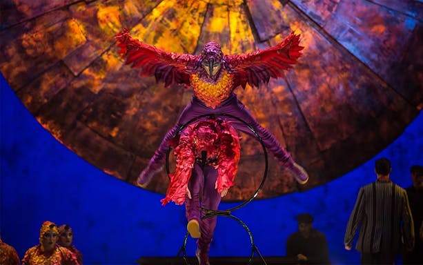 Acrobats performing in vibrant costumes during Luzia show.