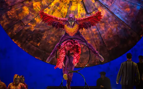 Acrobats performing in vibrant costumes during Luzia show.