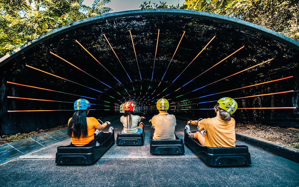 Friends riding luge into colorful tunnel on Skyline Luge, Singapore.