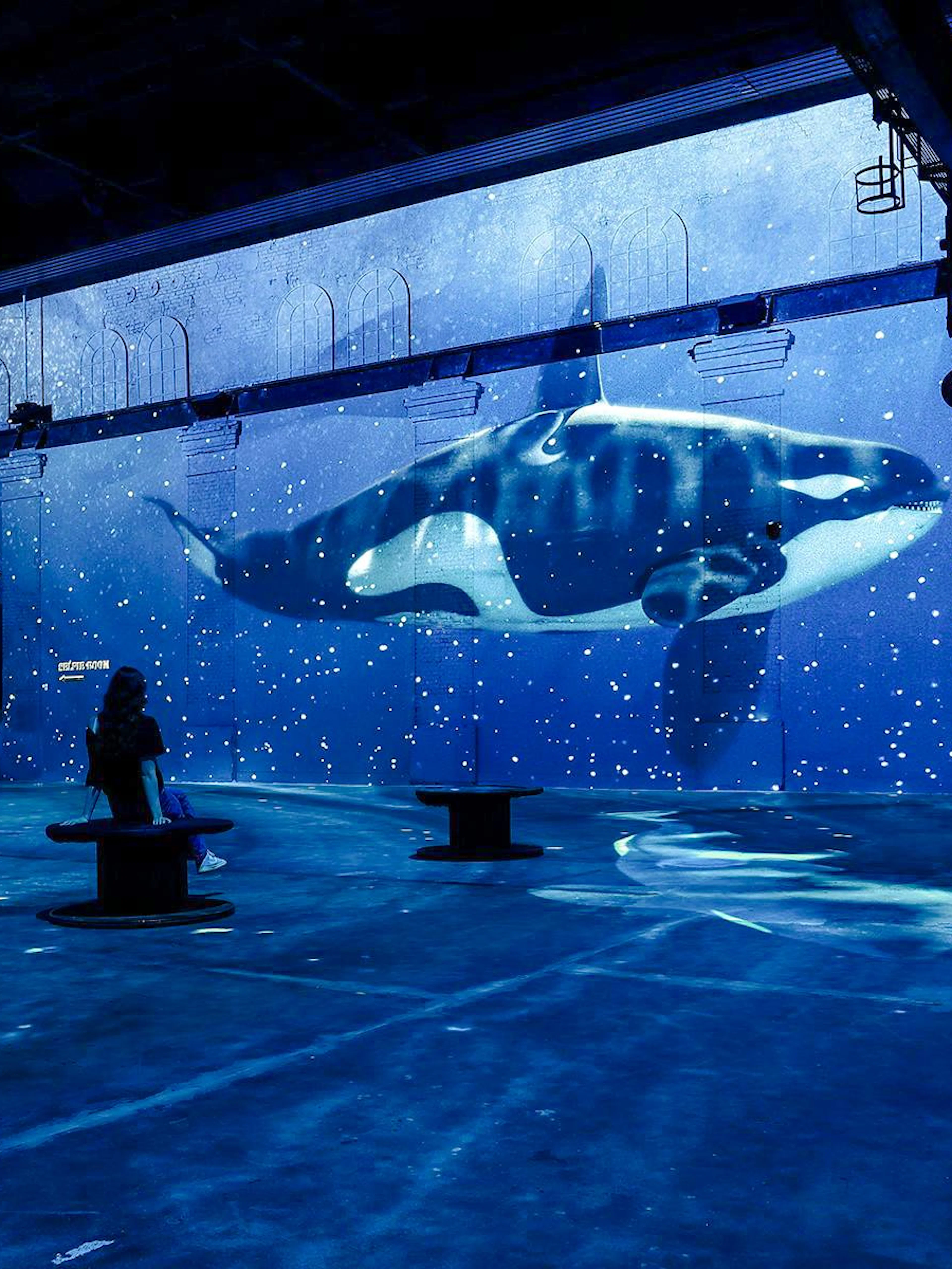 phoenix des lumières: cuda oceanu – wciągająca wyprawa pod wodę-1