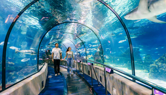Tourists walking through the underwater tunnel at Barcelona Aquarium.