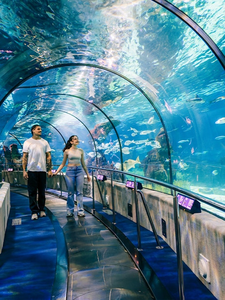 Tourists walking through the underwater tunnel at Barcelona Aquarium.