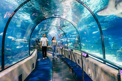 Entradas sin colas al Aquarium de Barcelona
