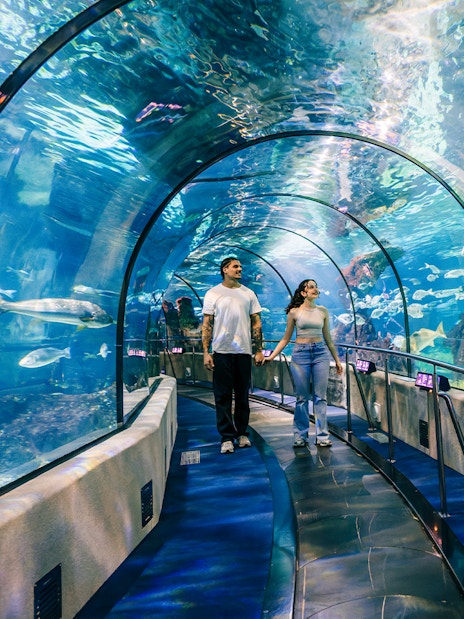 Tourists walking through the underwater tunnel at Barcelona Aquarium.