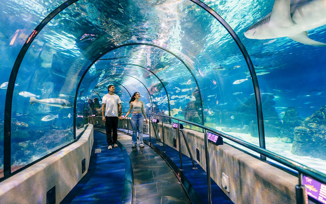 Tourists walking through the underwater tunnel at Barcelona Aquarium.