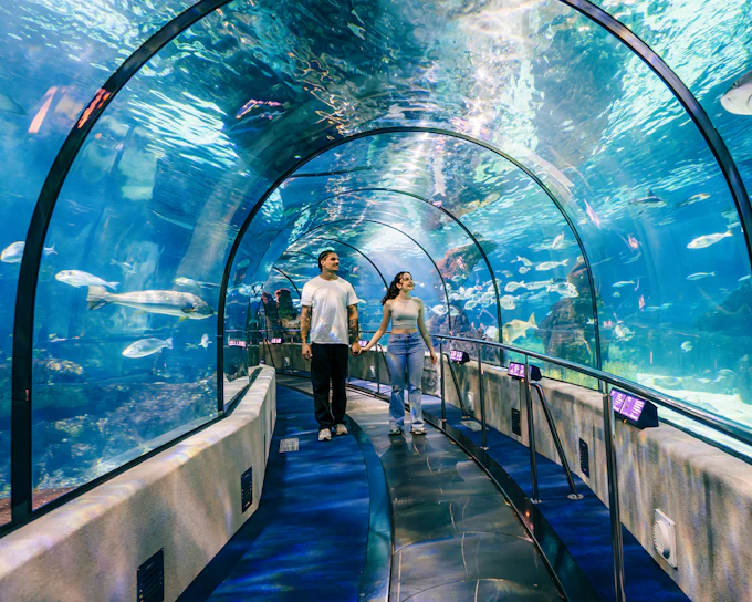 Barcelona Aquarium Skip-the-Line Tickets