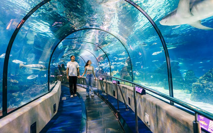 Tourists walking through the underwater tunnel at Barcelona Aquarium.