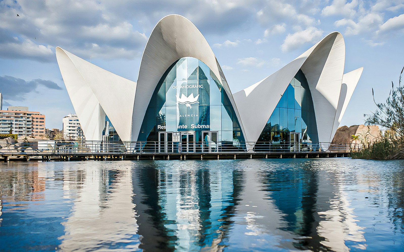 Oceanogràfic oceanarium building with unique architecture in Valencia, Spain.