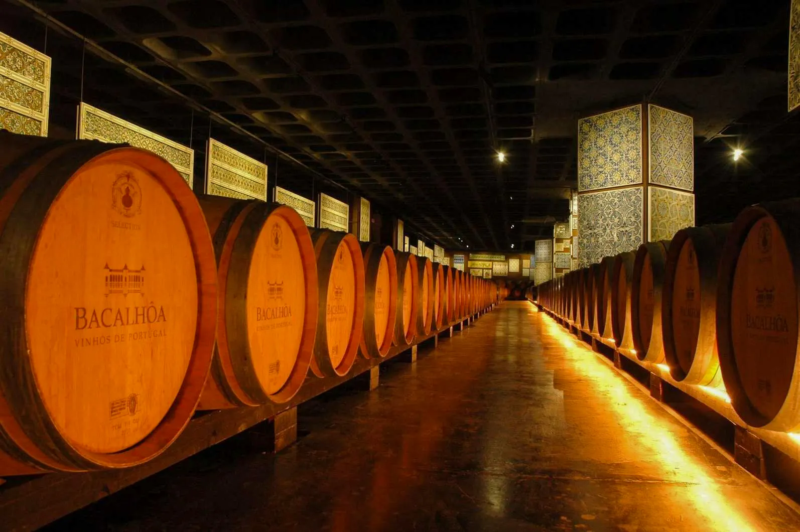 From Lisbon: Arrábida, Sesimbra & Setúbal Wine Region Guided Day Trip