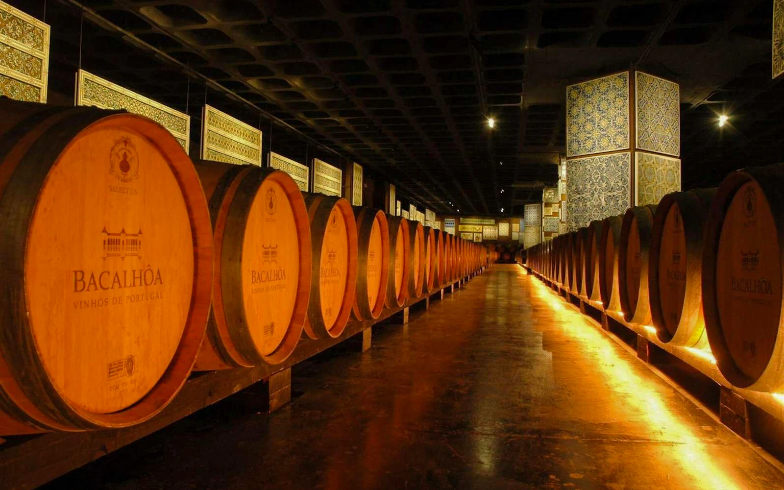 From Lisbon: Arrábida, Sesimbra & Setúbal Wine Region Guided Day Trip