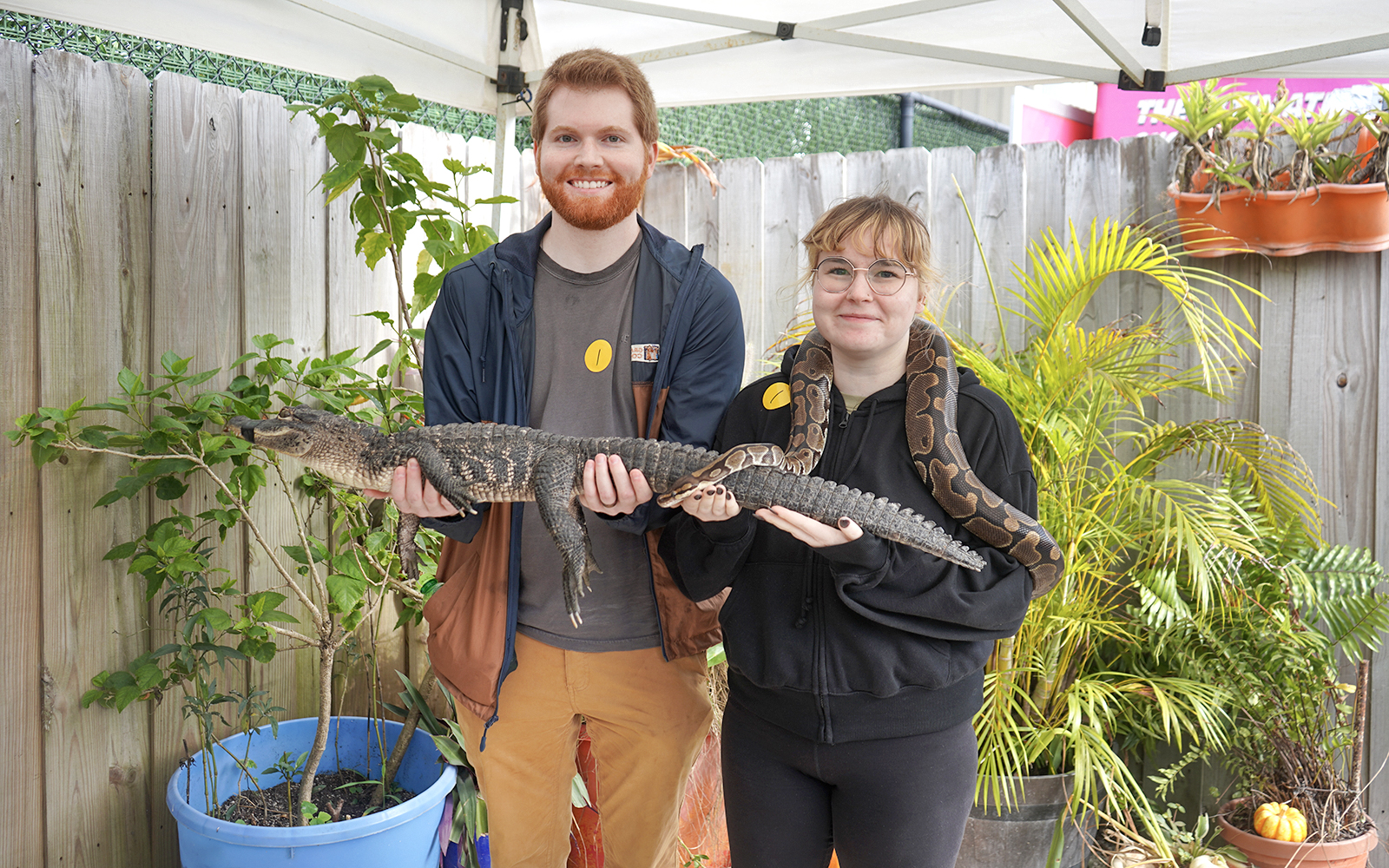 Guests holding an alligator and snake at Everglades Holiday Park animal encounter.