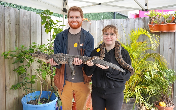 Guests holding an alligator and snake at Everglades Holiday Park animal encounter.