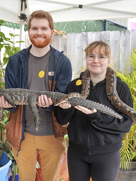 Guests holding an alligator and snake at Everglades Holiday Park animal encounter.