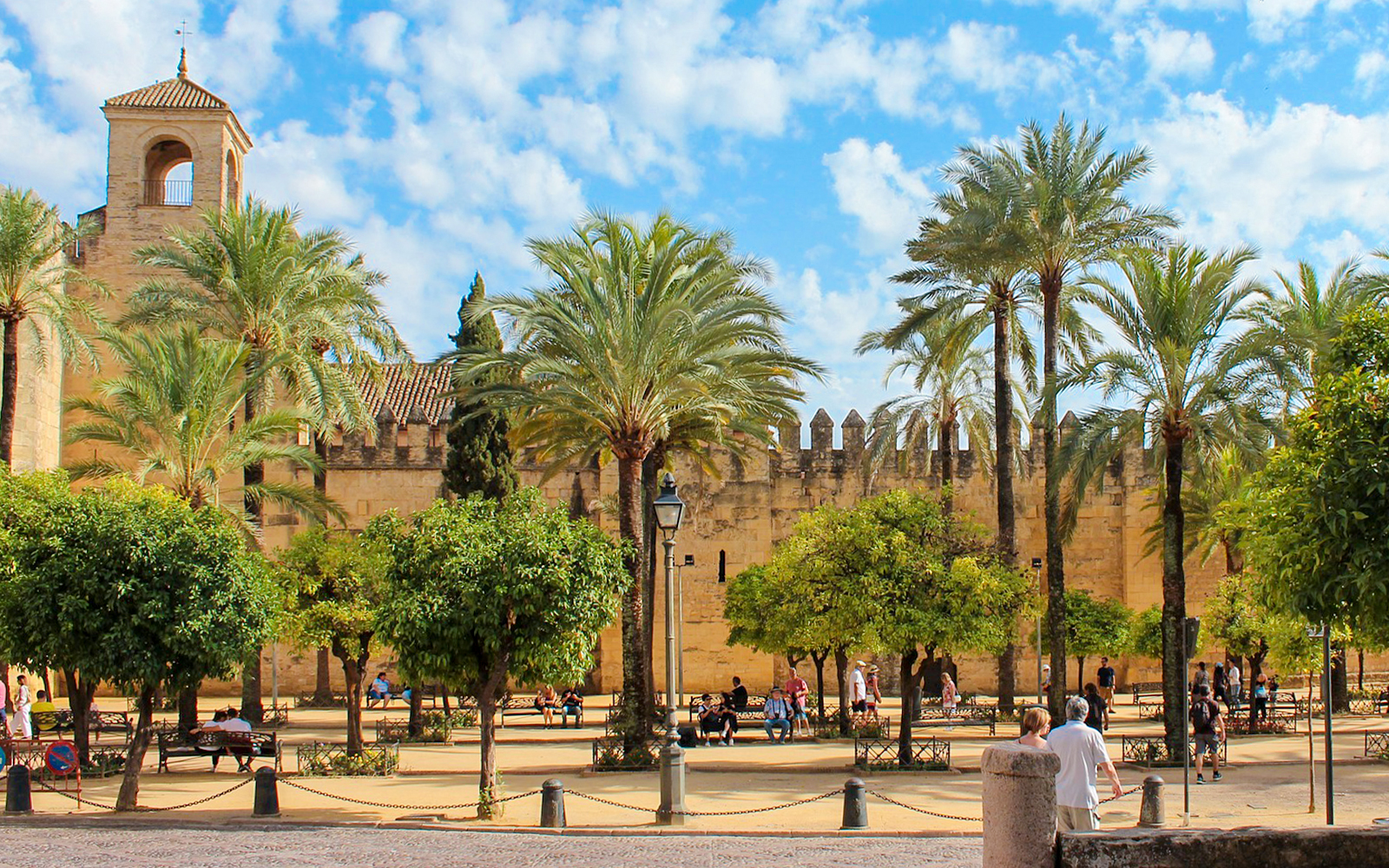 Courtyard with palm trees at the Cordoba Mosque-Cathedral, Spain.