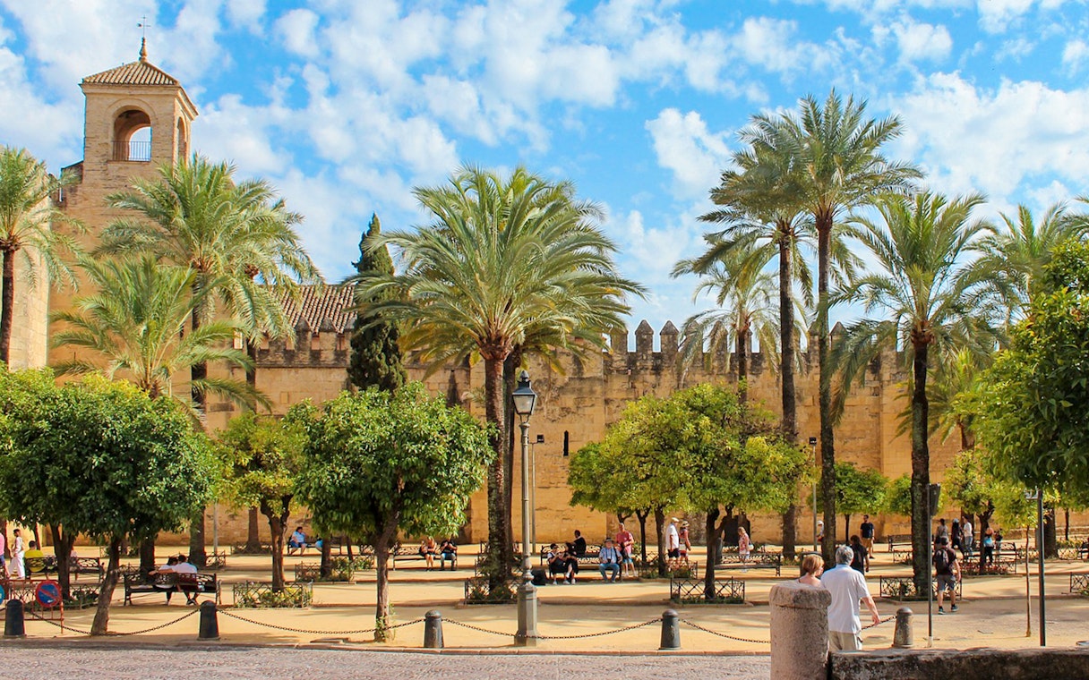 Courtyard with palm trees at the Cordoba Mosque-Cathedral, Spain.