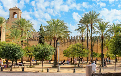 Courtyard with palm trees at the Cordoba Mosque-Cathedral, Spain.