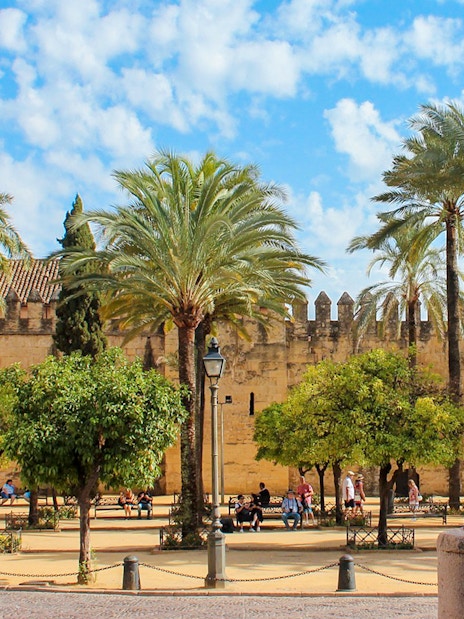 Courtyard with palm trees at the Cordoba Mosque-Cathedral, Spain.